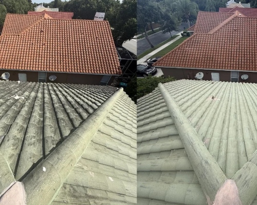Roof Cleaning Image
